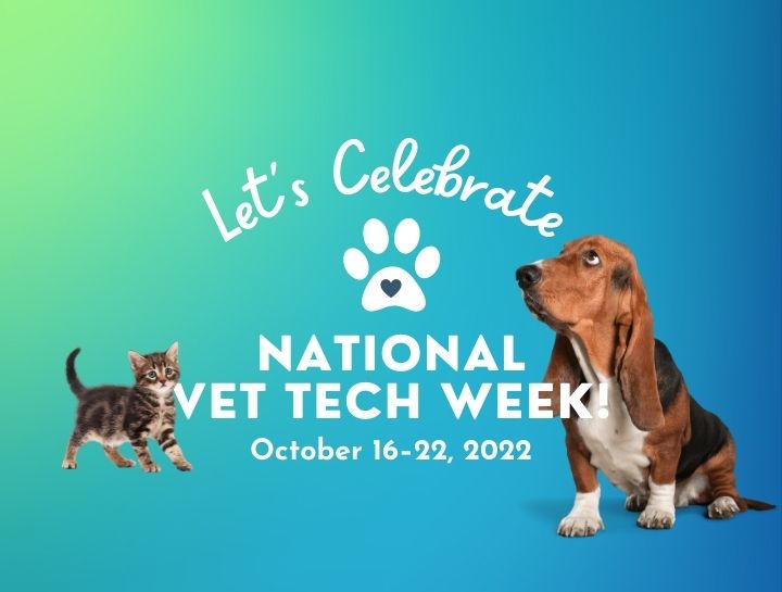 National Veterinary Technician Week | Northridge Veterinary Center